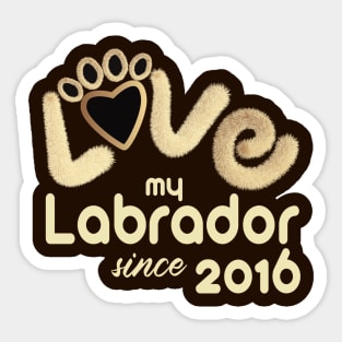 Love my labrador since 2016 Sticker